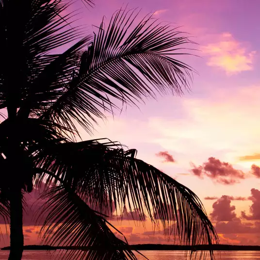Sunset en Floride - papier peint bord de mer