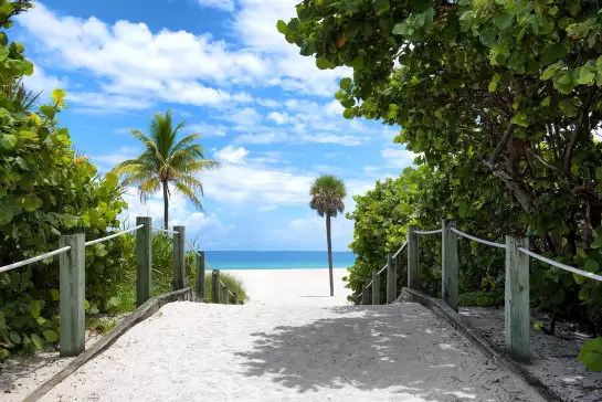 Miami Beach - papier peint bord de mer