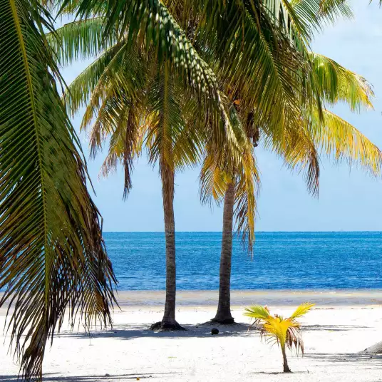Paradis beach Miami - papier peint bord de mer