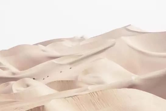 Desert skin - papier peint deco nature