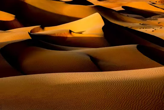 Dune dorée - papier peint deco nature