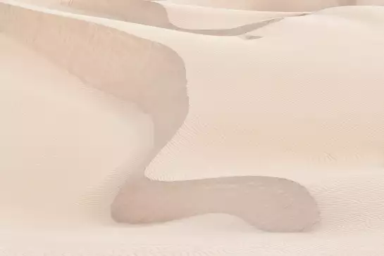 Dune serpent - papier peint deco nature