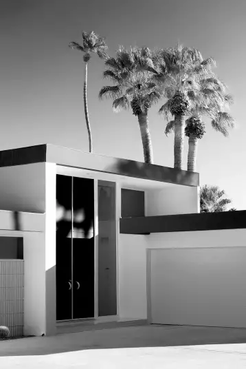 Palm spring design - papier peint panoramique ville noir et blanc
