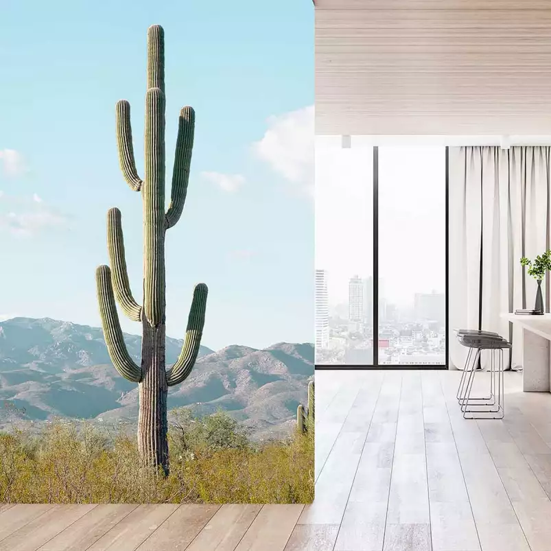 Giant - papier peint cactus