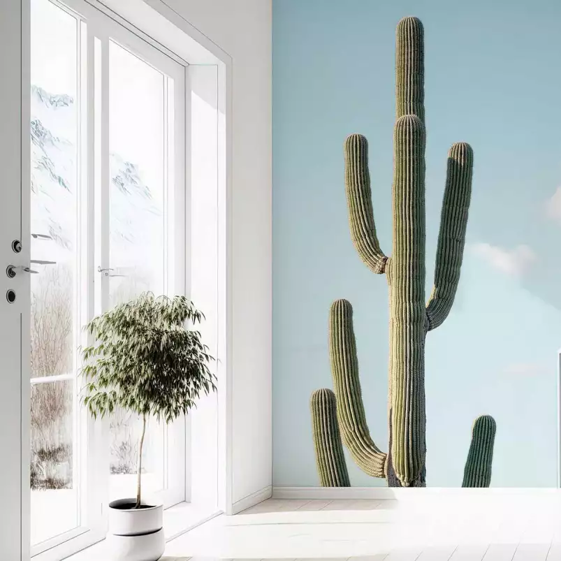 Symétrie - papier peint cactus