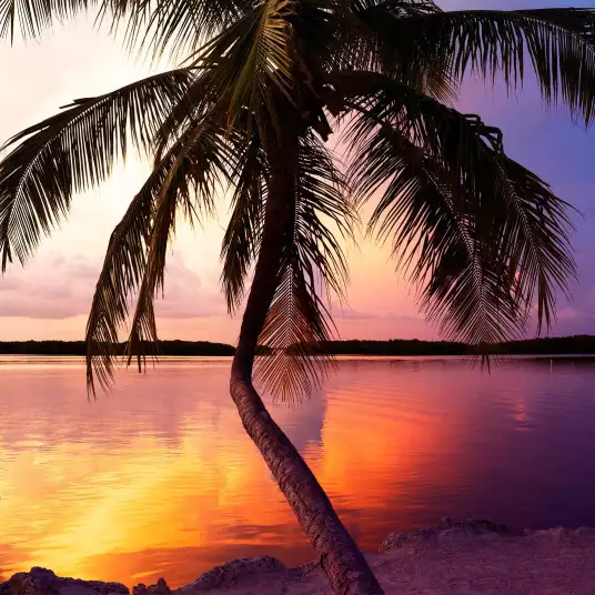 Perfect sunset - papier peint bord de mer