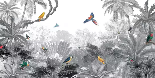 Papagei - papier peint oiseaux tropicaux