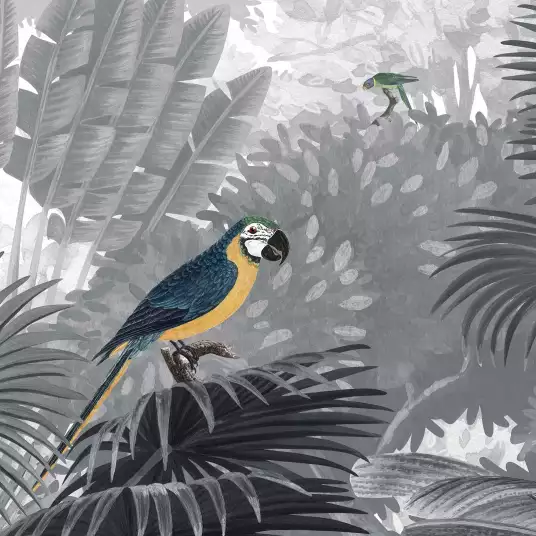 Papagei - papier peint oiseaux tropicaux