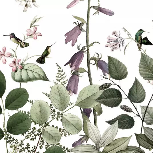 Rosaly - papier peint colibri
