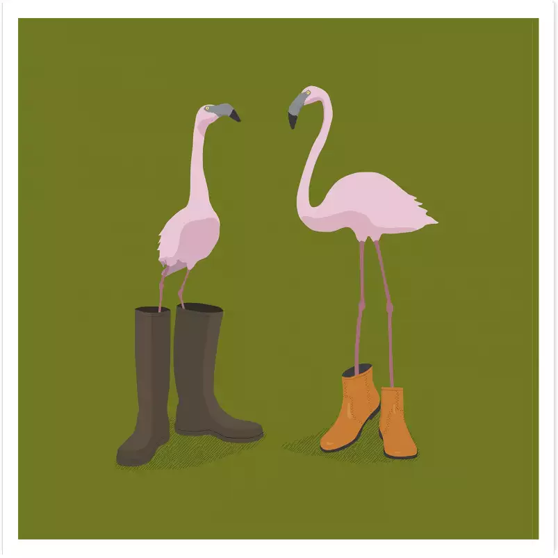 Flamands fashion - tableau oiseaux