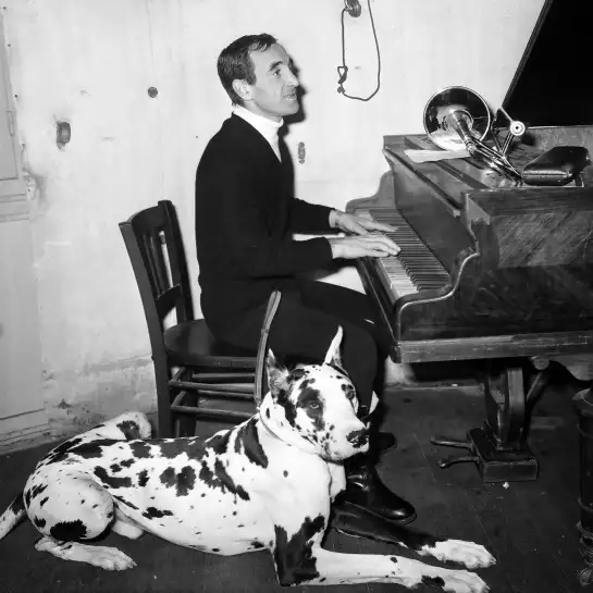 Charles Aznavour et son chien - photos noir et blanc célébrités