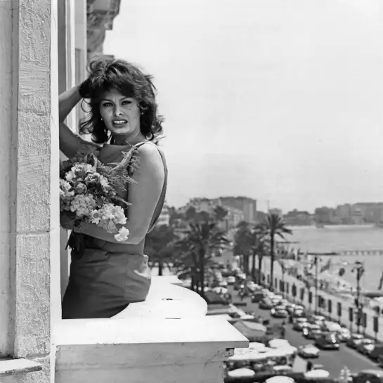 Sophia Loren au Carlton en 1959 - photo de célébrités