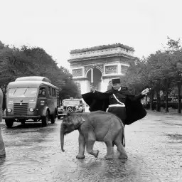 L'Arc de triomphe - tableau paris noir et blanc