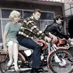 Sylvie Vartan et Johnny Halliday en 1963 - photo de célébrités