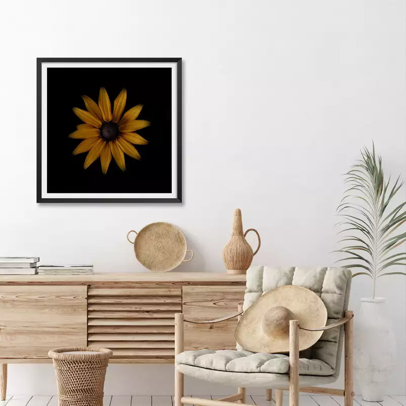 Rudbeckia - tableau fleurs moderne