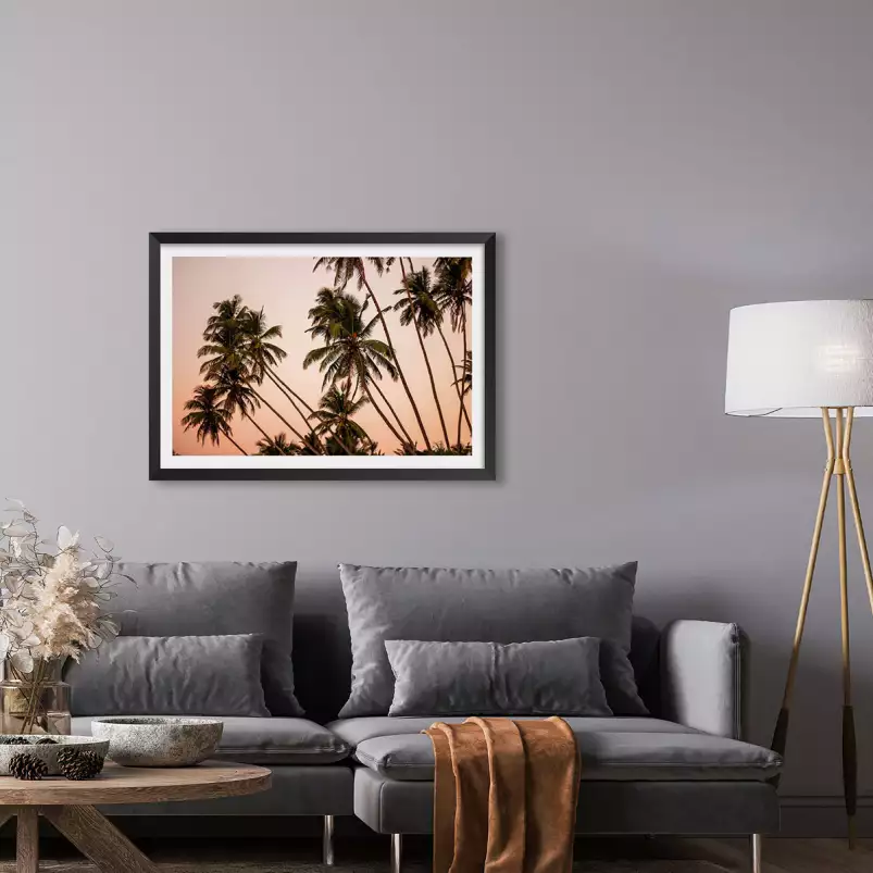 Coconut sunset - affiche palmier