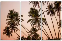 Coconut sunset - affiche palmier