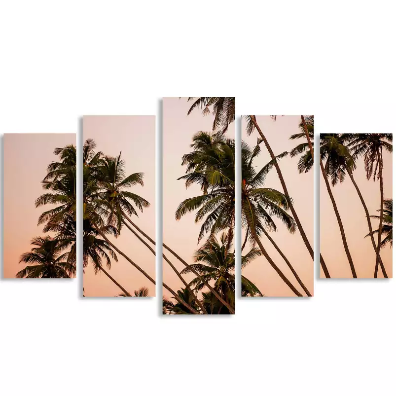 Coconut sunset - affiche palmier