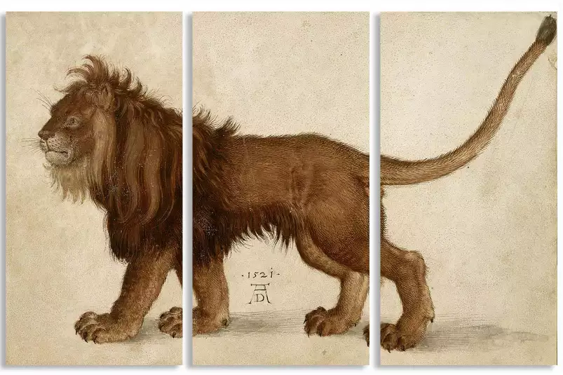 Lion d' Albrech Durer - tableau celebre