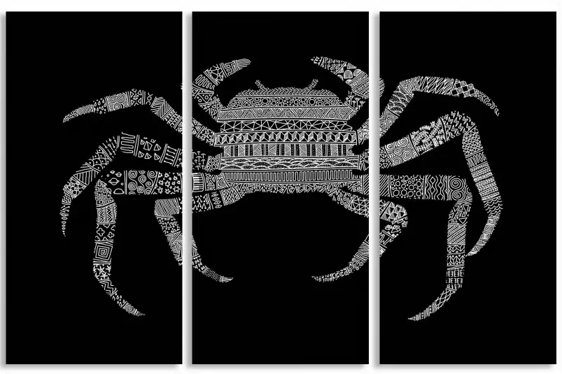 Crab - poster animaux