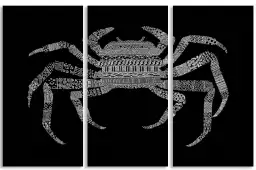 Crab - poster animaux