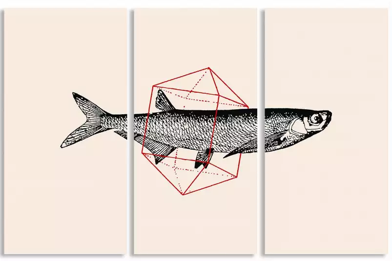 Fish In Geometrics II - graphisme animaux