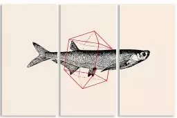 Fish In Geometrics II - graphisme animaux