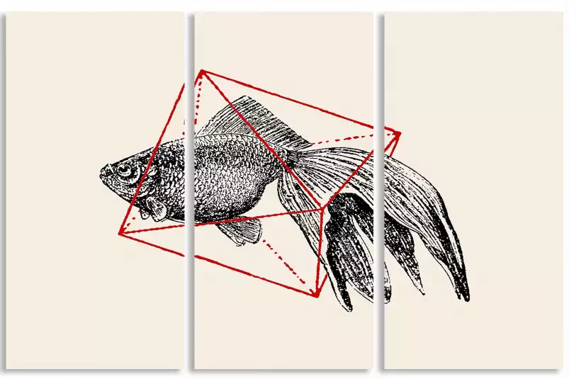 Fish In Geometrics - graphisme animaux