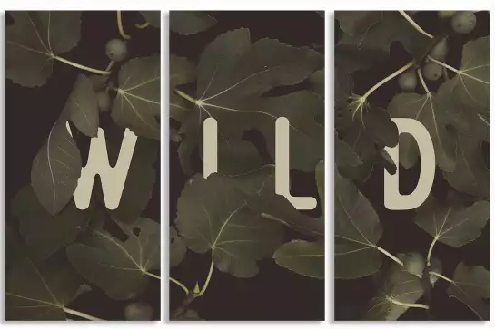 Wild main - tableau plante