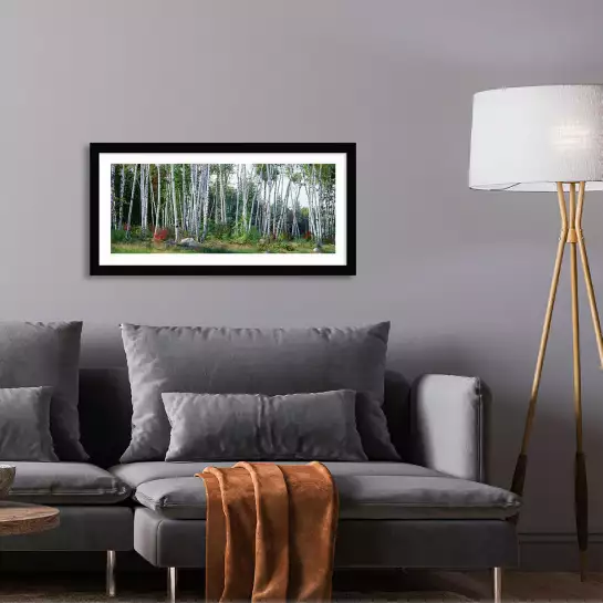 Arbre dans le New Hampshire - poster foret