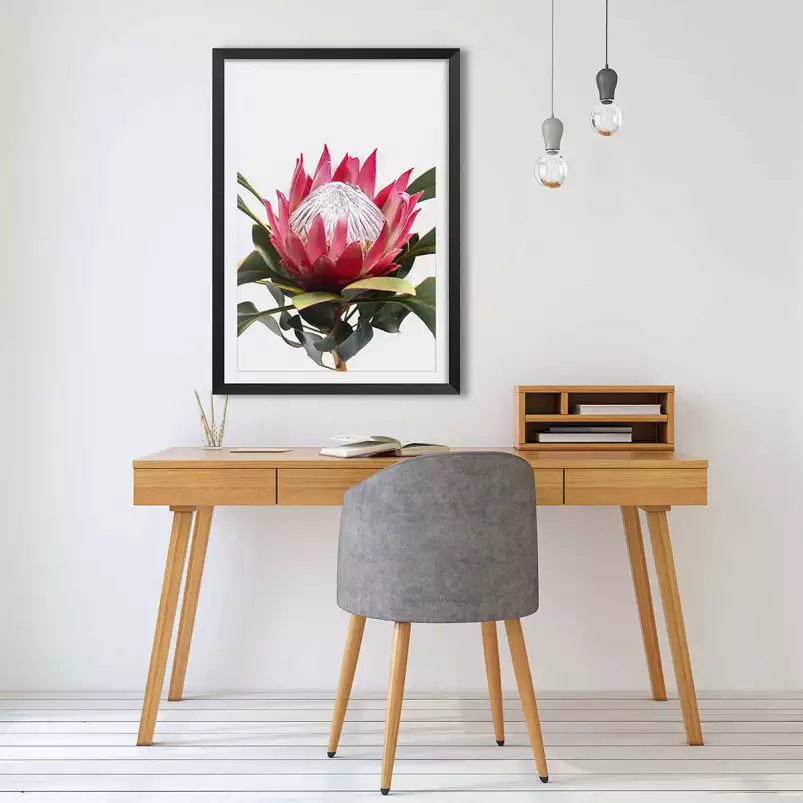 Protea - tableau fleur