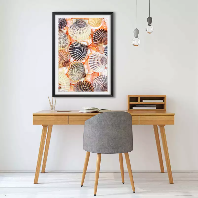 Coquilles orange - tableau bord de mer