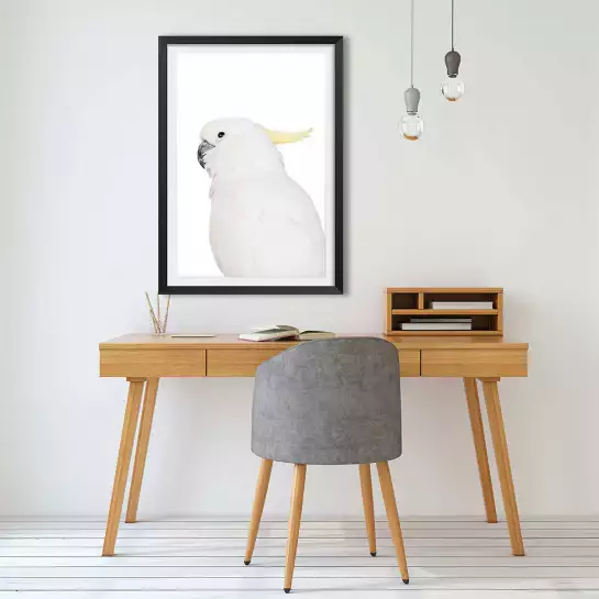 Parrot blanc - poster perroquet