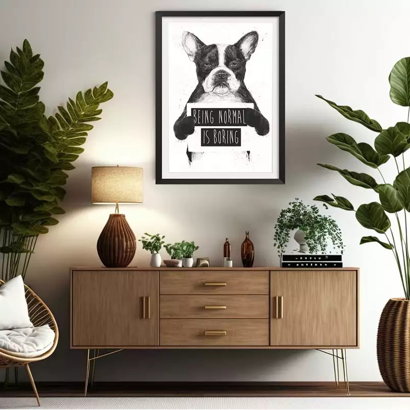 Bulldog - animaux en noir et blanc