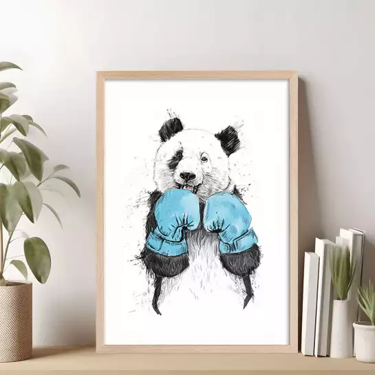 Boxe panda - animaux déguisé