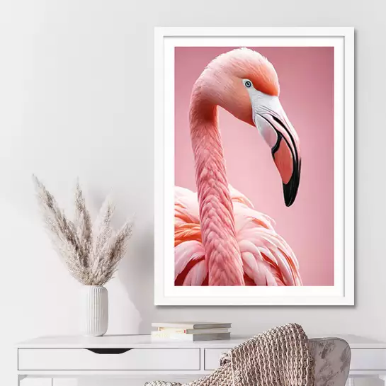 Flamant rose florida - affiche oiseaux