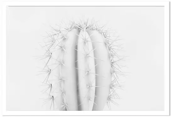 Pur - affiche cactus
