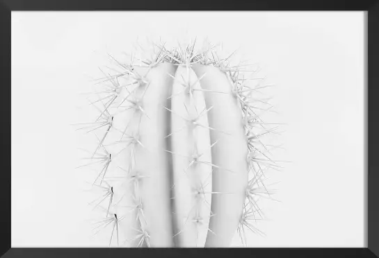 Pur - affiche cactus