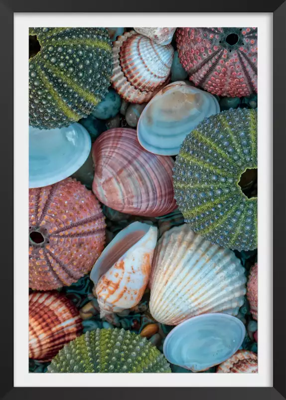 Coquilles bleues - tableau bord de mer