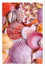 Coquilles rouges - tableau bord de mer