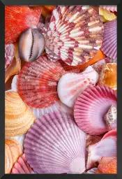 Coquilles rouges - tableau bord de mer