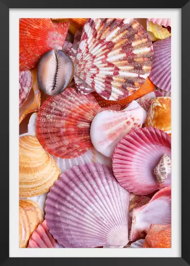 Coquilles rouges - tableau bord de mer