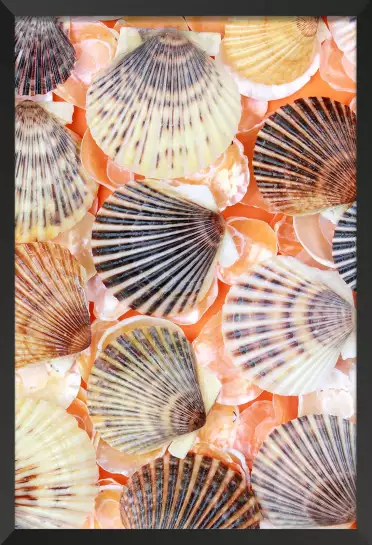 Coquilles orange - tableau bord de mer