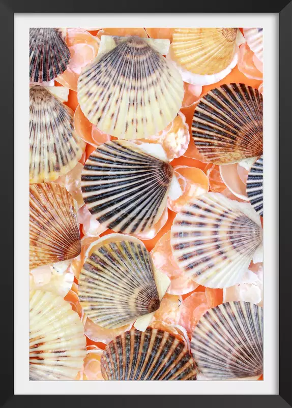 Coquilles orange - tableau bord de mer