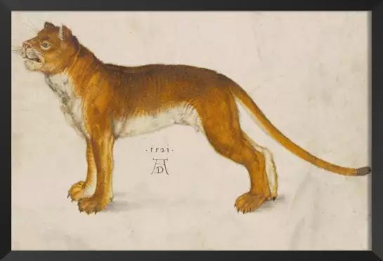 Lionne d' Albrech Durer - tableau celebre