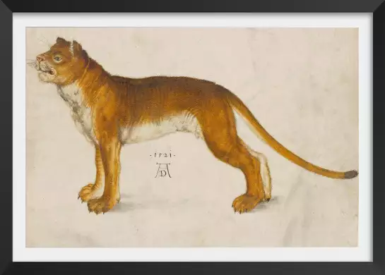 Lionne d' Albrech Durer - tableau celebre