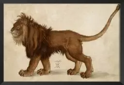 Lion d' Albrech Durer - tableau celebre