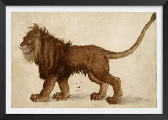 Lion d' Albrech Durer - tableau celebre