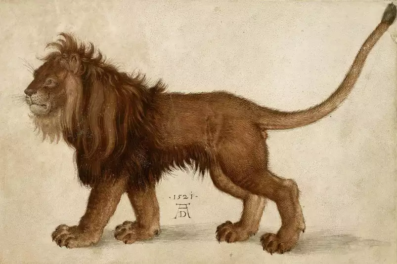 Lion d' Albrech Durer - tableau celebre