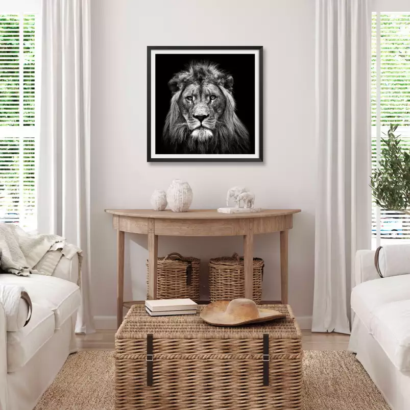 Jeune lion - portrait animaux